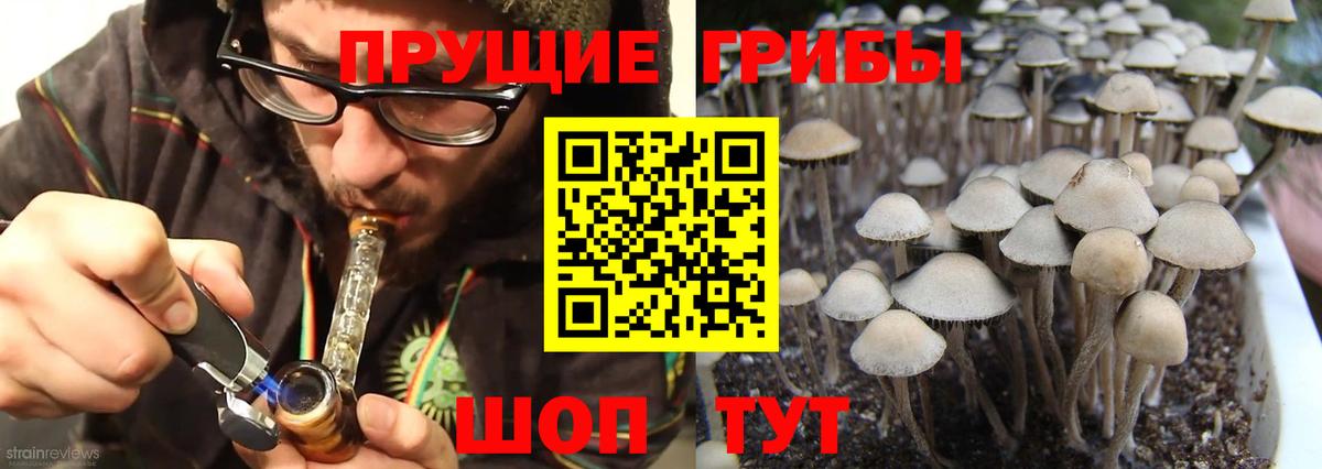 Галлюциногенные грибы мухоморы Егорьевск
