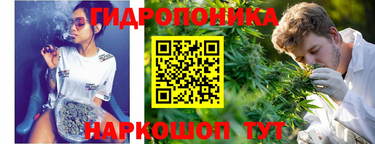 Егорьевск  Канабис OG Kush  Вход с VPN  Канабис THC 21%  Марихуана VHQ 